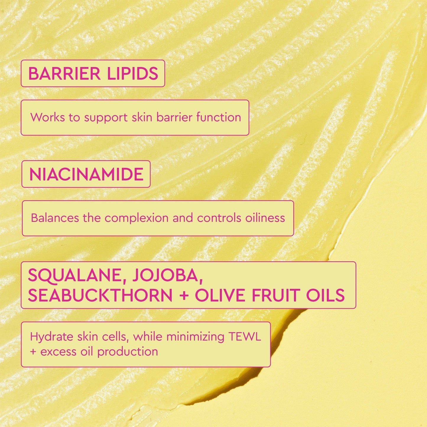 The infographic provides information about key ingredients and their benefits: Barrier Lipids, Niacinamide, and Squalene, Jojoba, SeaBuckthorn, Olive Fruit Oils.