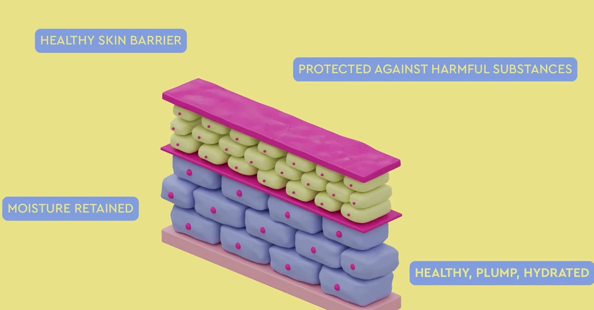 Damaged Skin Barrier Video