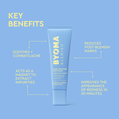 Blemish Acne Treatment Spot Paste
